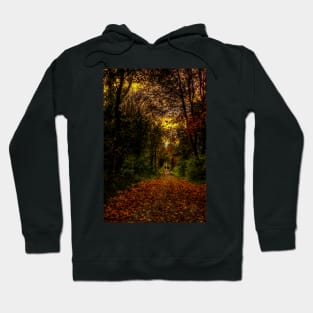 An Autumn Countryside Walk Hoodie